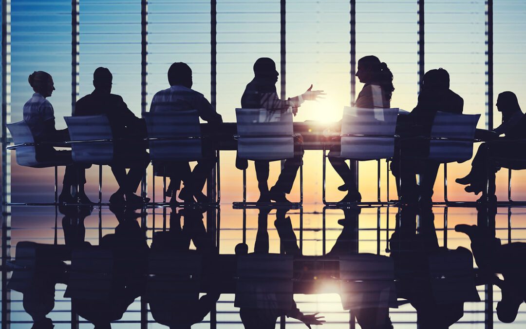 Building an Effective Board Relationship 