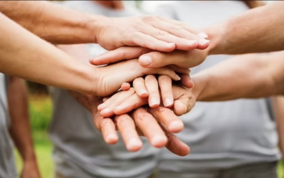 The Rise of Impact-Driven Giving